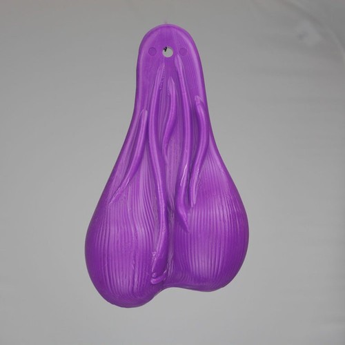 Grandi tori testicoli sacco