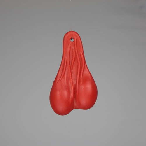 Sacco testicoli tori moto uova