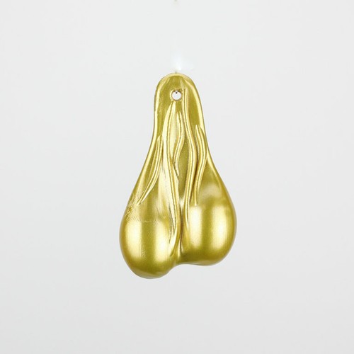 Bici tori testicoli uova