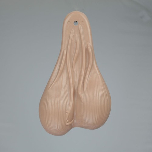 Grandi tori testicoli sacco